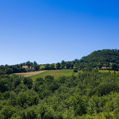 Вилла Relais Parco Del Subasio Пьяно-делле-Пьеве Экстерьер фото